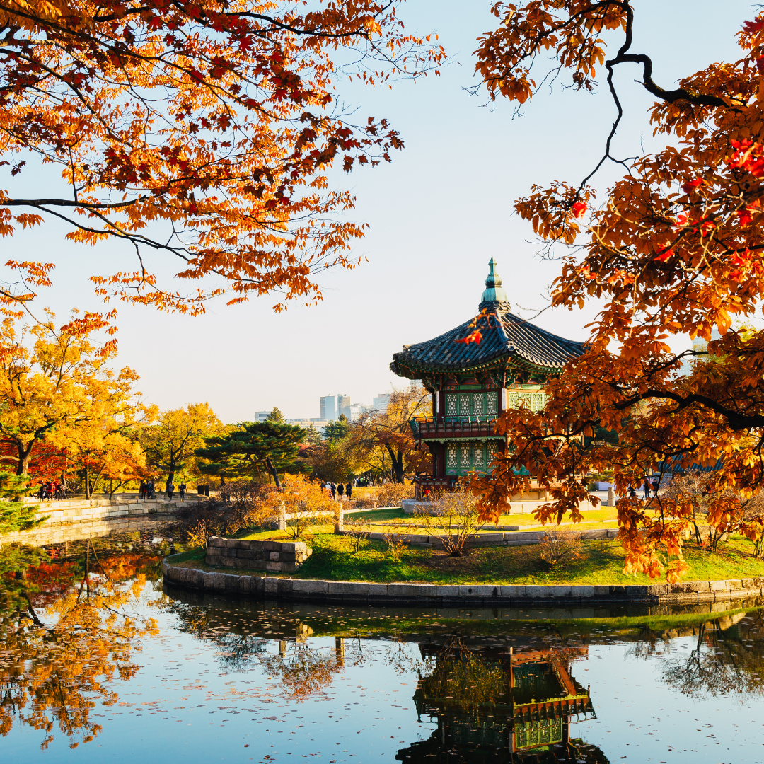 Viaggio in Corea del Sud